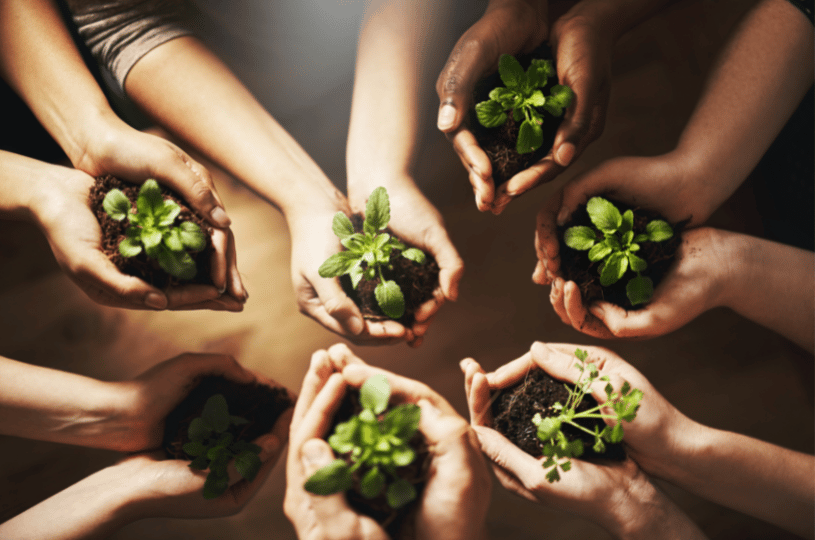Gemeinsam Werte schaffen - Menschen, die Pflanzen in der Hand halten